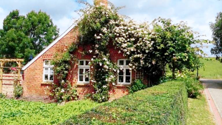 Ferienwohnung  Ditzum