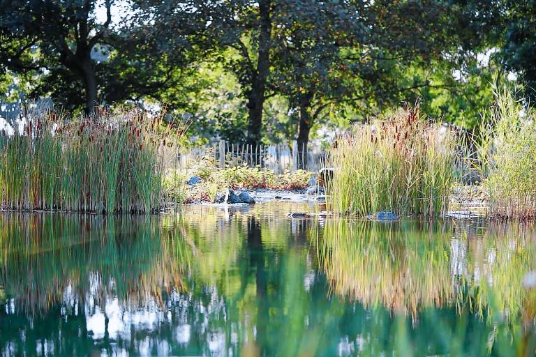 Ferienwohnung Schortens