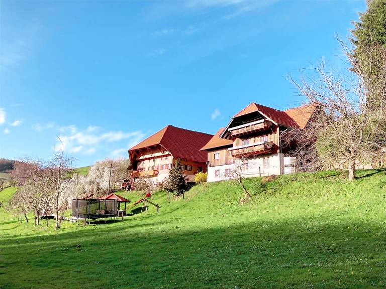 foto1