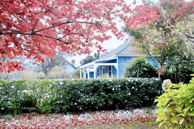 House  Katoomba