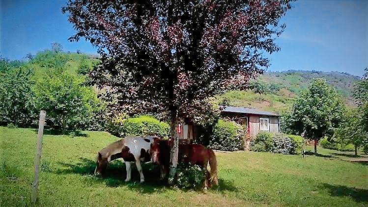 La Fregiere Chalets in Rodez