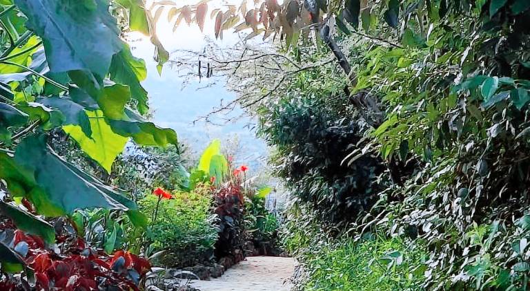Nice lodge with garden & terrace | Dogs allowed — photo 4