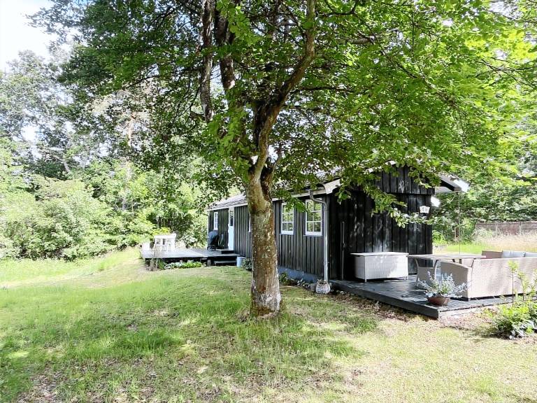House with BBQ, yard & terrace | Perfect for remote work — photo 2