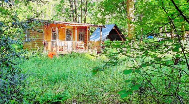 The Shack in the Woods Off Grid