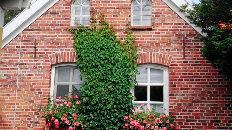 Ferienhaus Emden