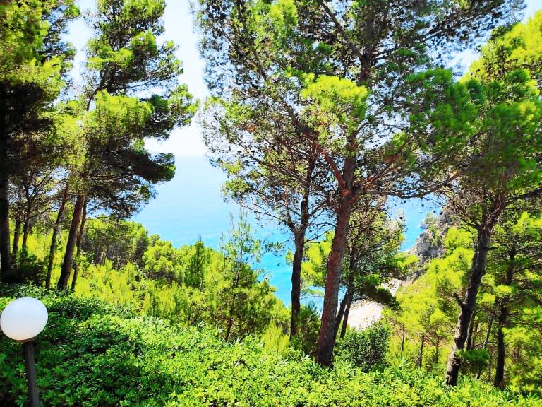 Lovely vacation home with terrace | Sea view | Pets are welcome — photo 2