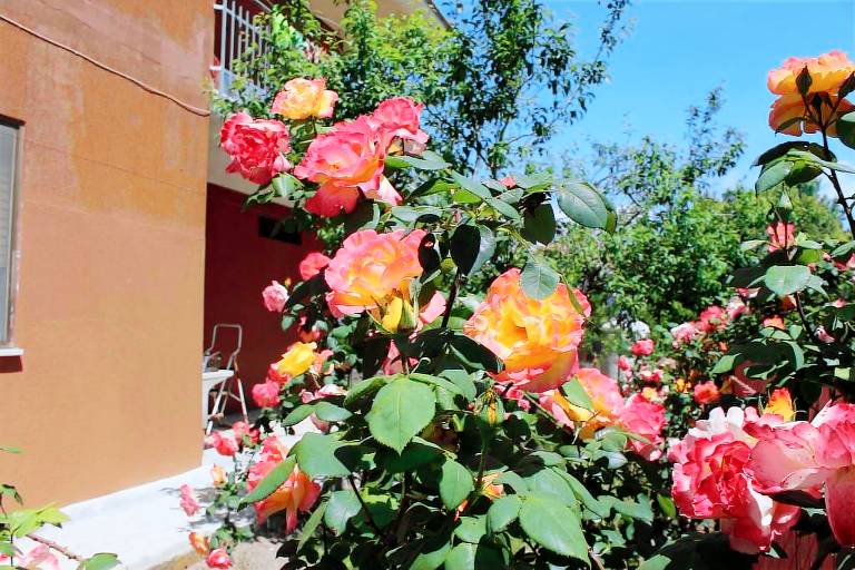 Children-friendly wonderful vacation home with garden & BBQ | Pet-friendly — photo 2