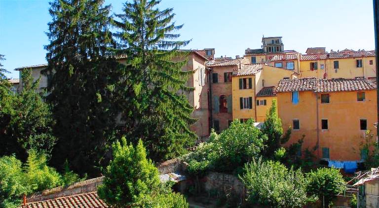 Rental apartment | Near Piazza del Campo | Suitable for remote work — photo 4