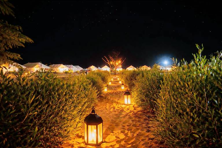Palm Camp luxury night resort in Jaisalmer