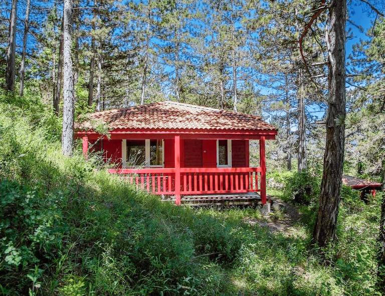 Chalet Die