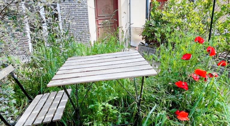 Holiday apartment with 4 rooms for 9 persons — photo 5