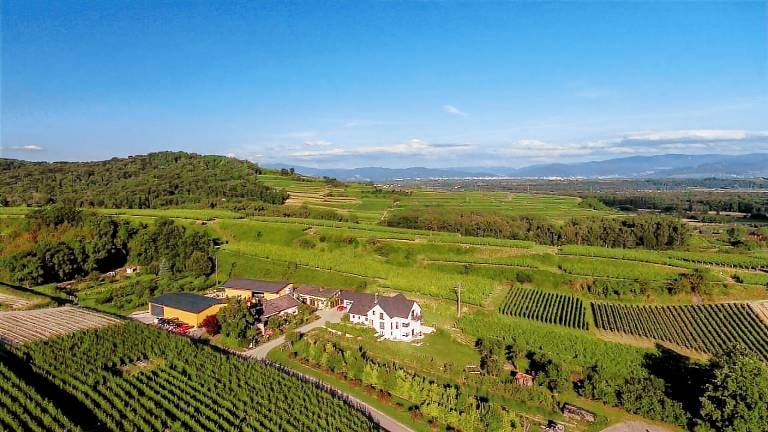 Ferienwohnung Merdingen