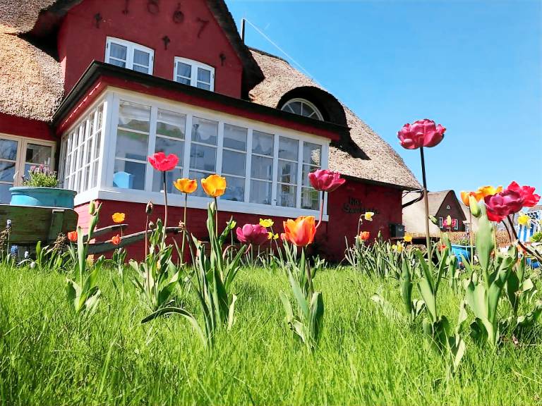 Apartment Amrum