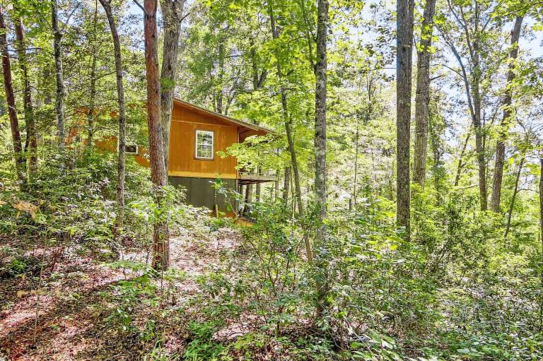 Cabin Mountain Rest