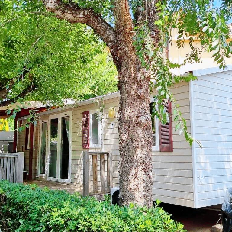 Camping  Blanes