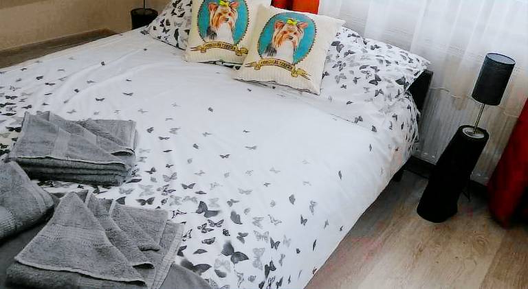 Beautiful rental apartment | Pet-friendly — photo 5