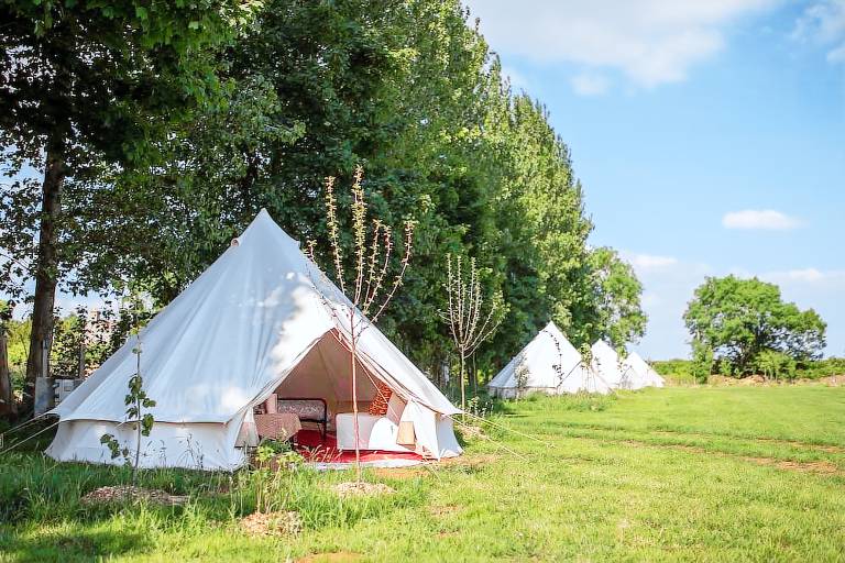 Camping-Unterkunft  Knockdown