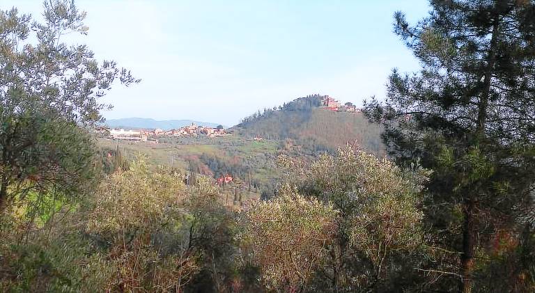Apartment | Pets allowed in Montecatini Terme
