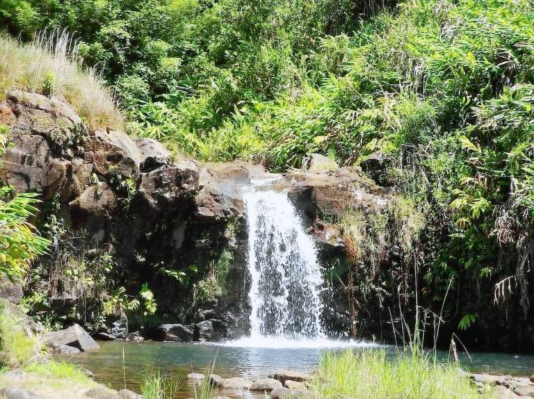 Lodge Hilo
