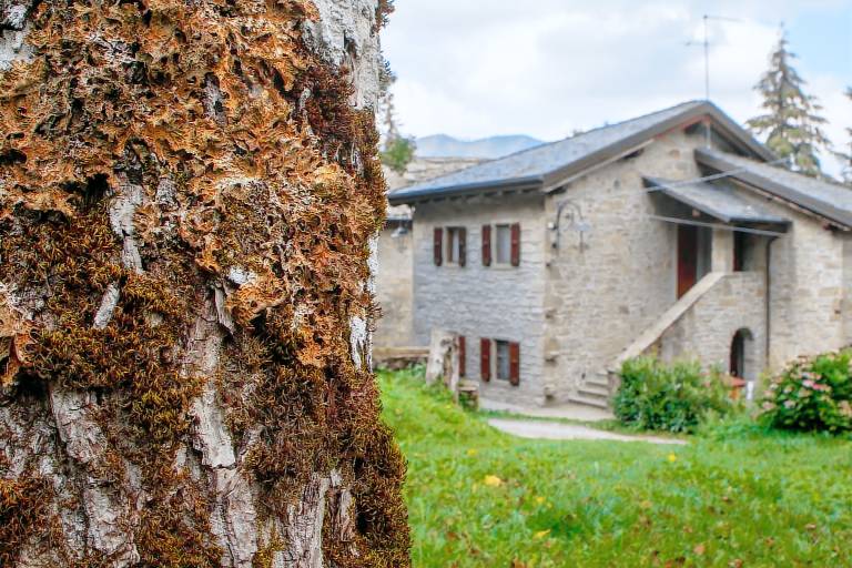 Agriturismo Cà Gabrielli: Camera "Una Rosa Canina" in Lizzano in Belvedere