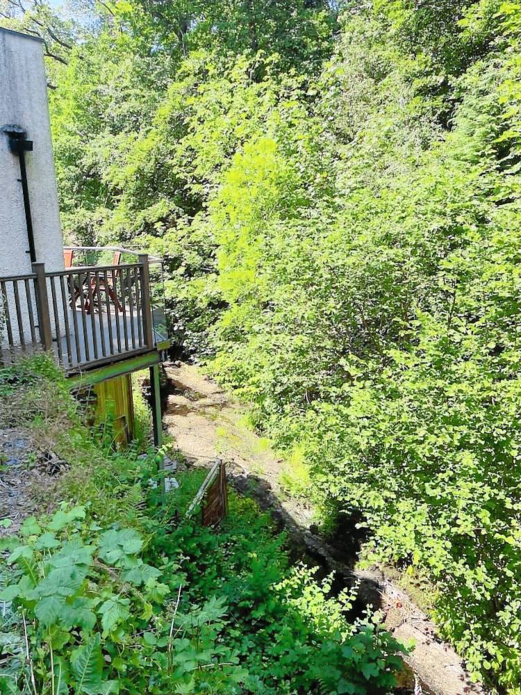 Bed and breakfast  Windermere
