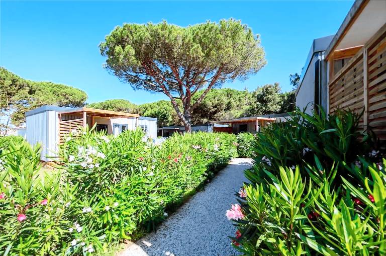 Mobil-home  Le Bois-Plage-en-Ré
