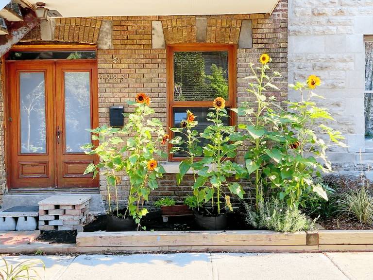 Appartement Le Plateau-Mont-Royal