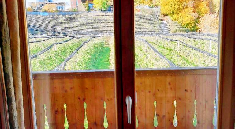 Landgasthof Sonnegghof — photo 4