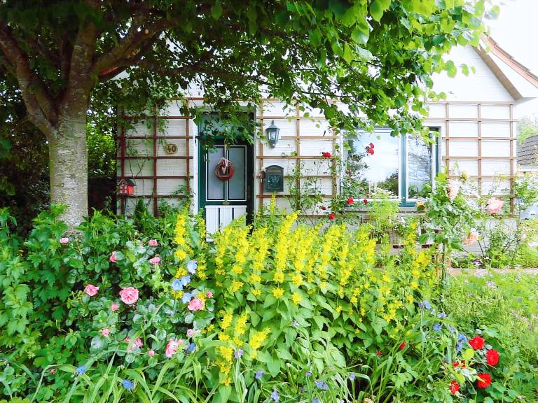 Ferienwohnung Wesselburenerkoog