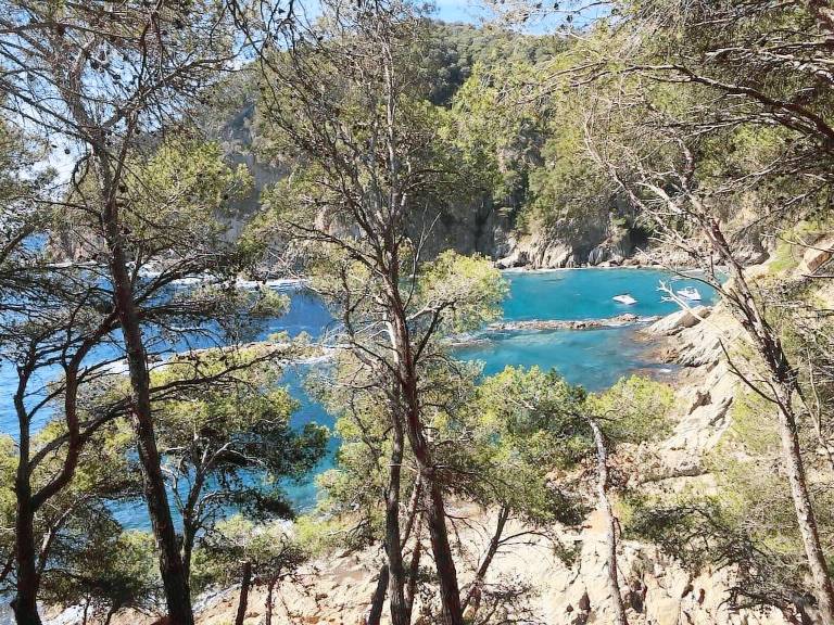 Appartement Tamariu