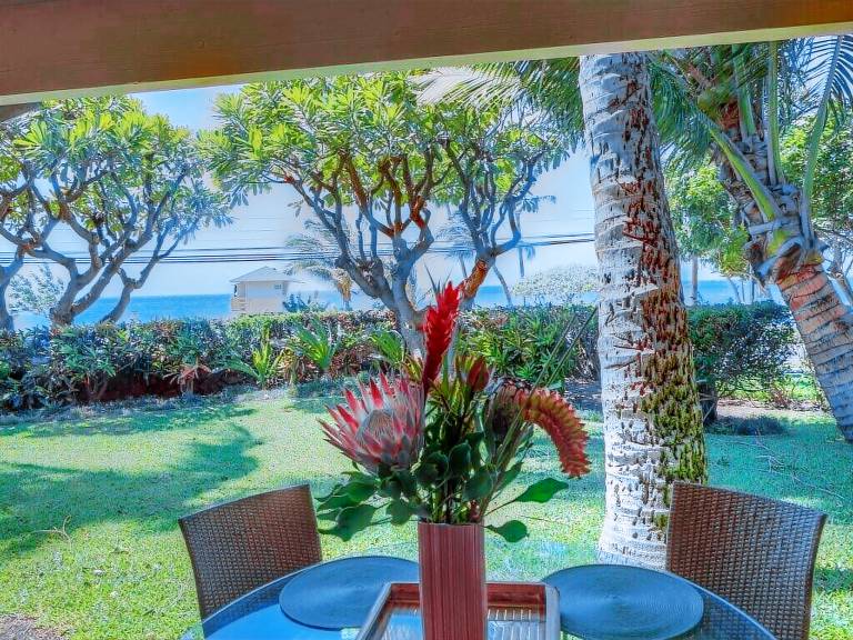 Huis Wailea