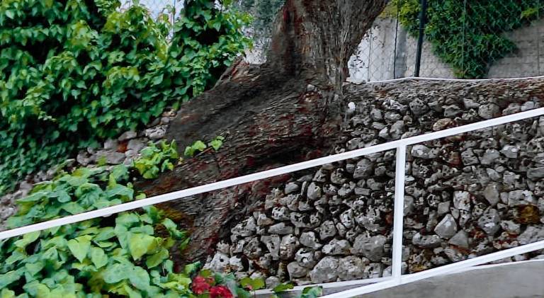 Albergo pensione Bianco — photo 5