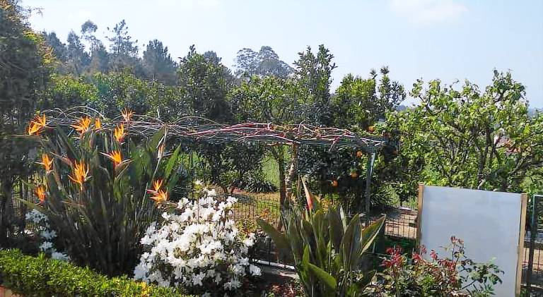 Vacation home with garden, barbeque & patio in Porto