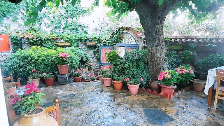 Bed and breakfast  Selçuk