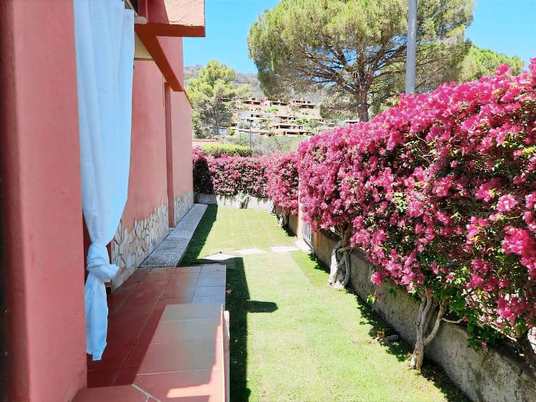 Pleasant holiday apartment with yard & BBQ | Next to the beach | Dogs allowed — photo 3