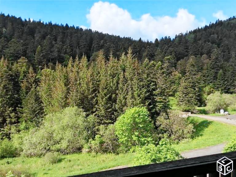 Appartement Le Lioran