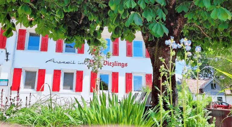 Beautiful apartment with garden | Dogs allowed in Bregenz