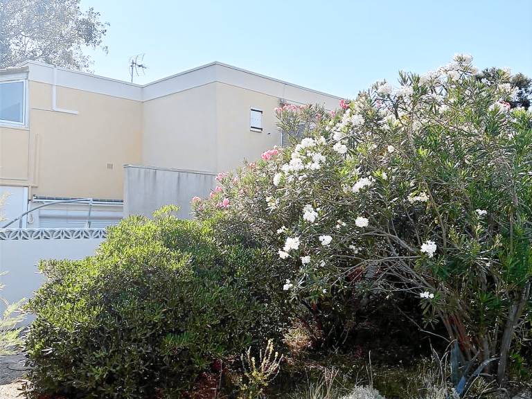 Ferienwohnung  Port Leucate