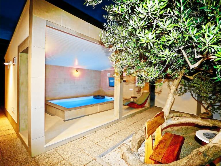 Vacation home with private pool, garden & terrace — photo 3
