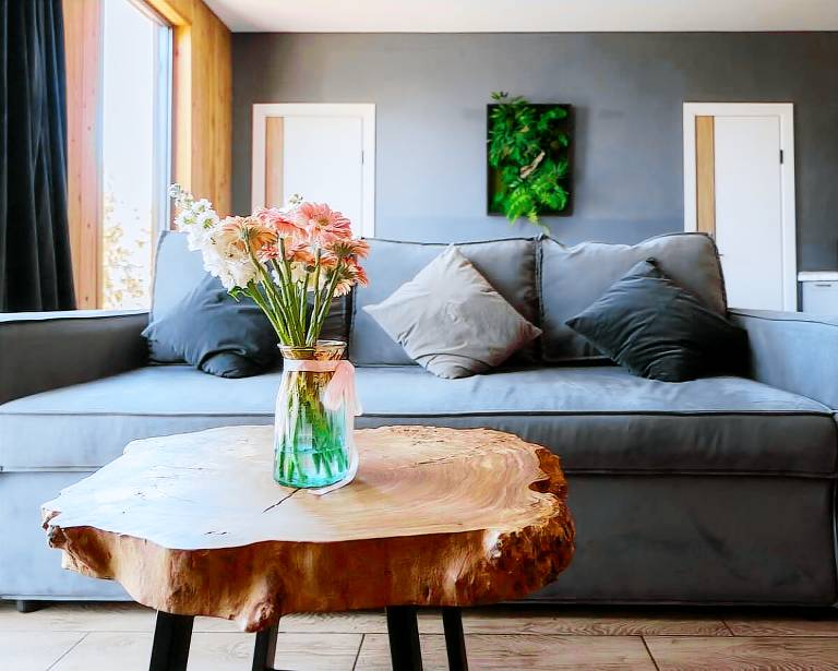 House Medeu District