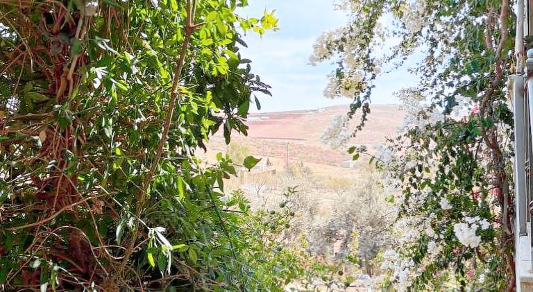 Rental apartment with 1 room for 3 persons in Amman