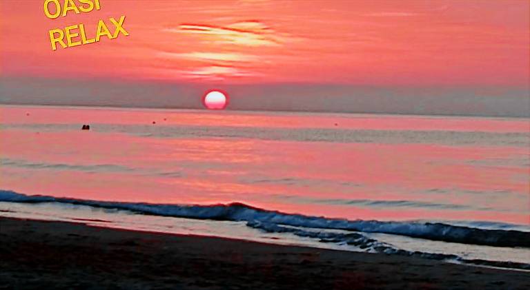 Nice serviced apartment with garden | Pets allowed in Rodi Garganico