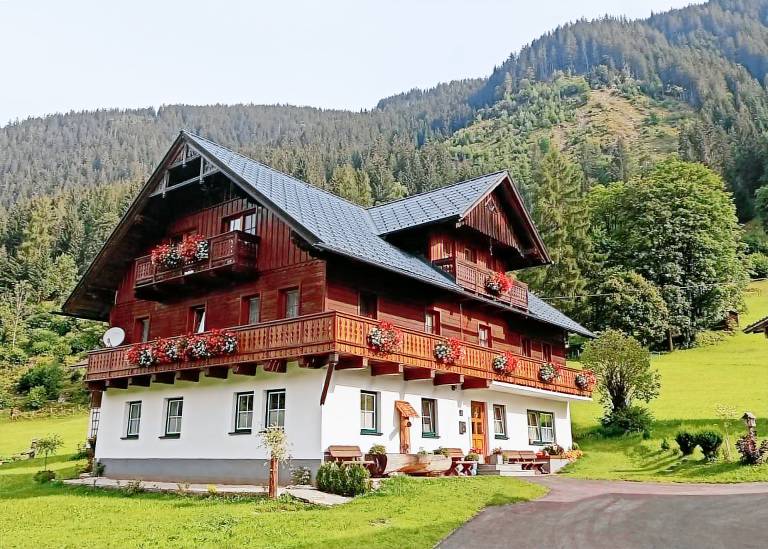 foto1
