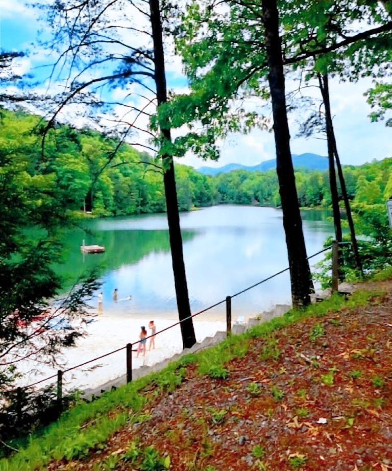 Cabin Lake Lure