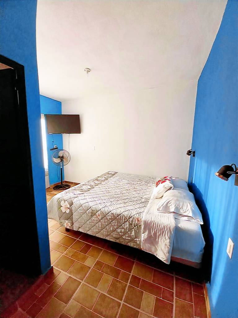 foto1