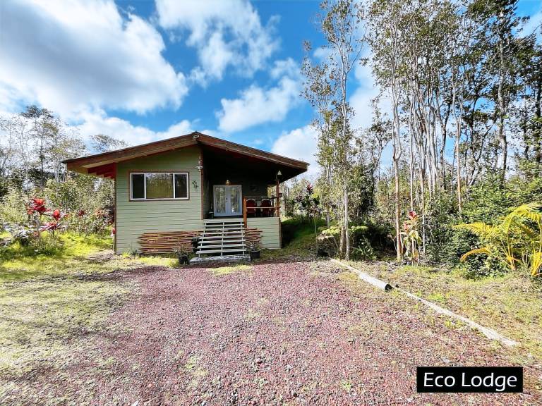 Lodge Fern Forest
