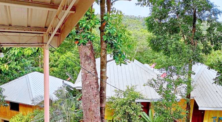Woodland Inn in El Nido