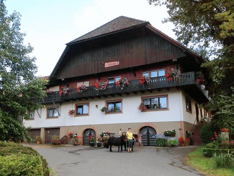 Wohnung in Unterharmersbach mit Garten und Grill