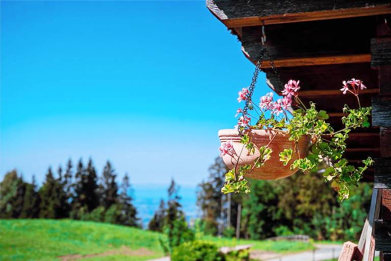 Neue Ferienwohnung mit Blick auf den Bodensee in Dornbirn