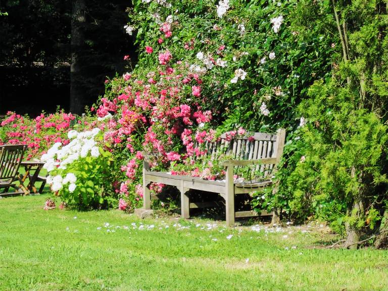 Cottage with garden — photo 5